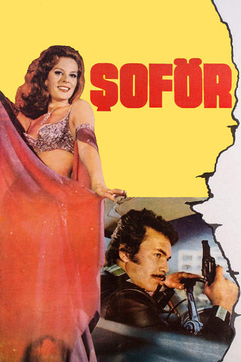 Poster of Şoför