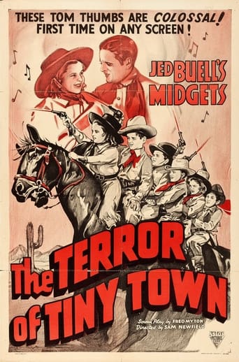 Poster of The Terror of Tiny Town