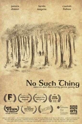 Poster of No Such Thing