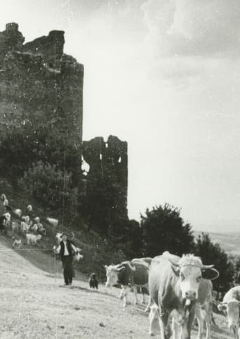 Poster of Stones, Castles and Men