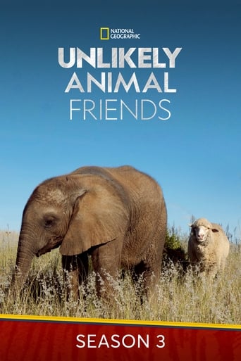 Portrait for Unlikely Animal Friends - Season 3