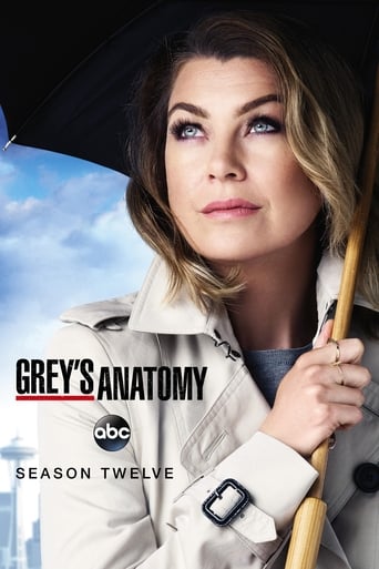 Portrait for Grey's Anatomy - Season 12