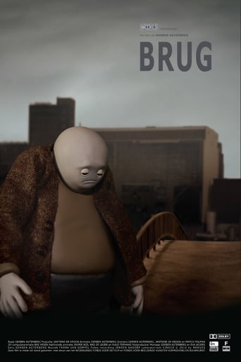 Poster of Brug