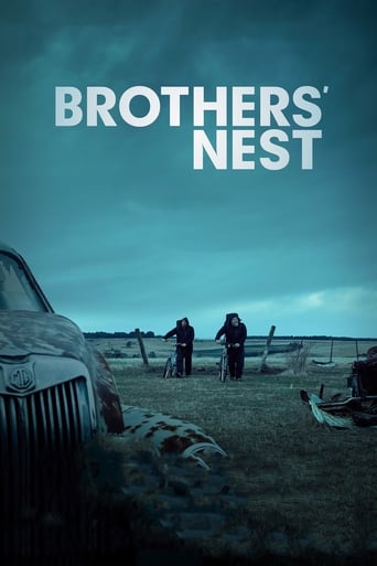 Poster of Brothers' Nest