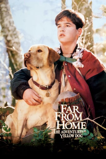 Poster of Far from Home: The Adventures of Yellow Dog