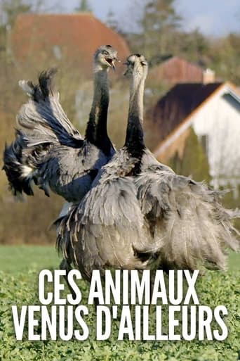 Portrait for Ces animaux venus d'ailleurs - Season 1