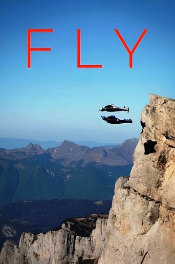 Poster of Fly