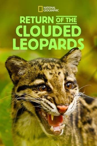 Poster of Return of the Clouded Leopards