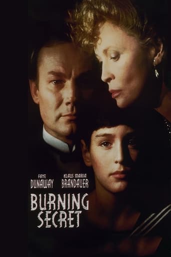 Poster of Burning Secret