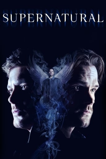 Portrait for Supernatural - Season 14