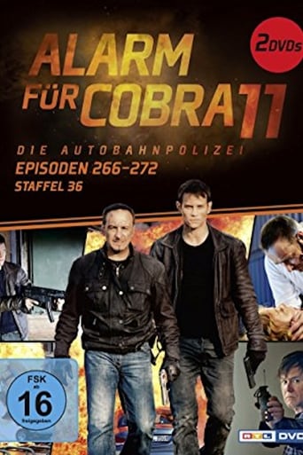 Portrait for Alarm for Cobra 11: The Motorway Police - Season 36