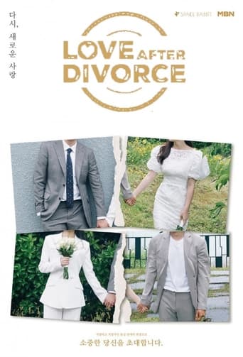 Poster of Love After Divorce