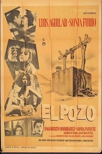 Poster of El pozo