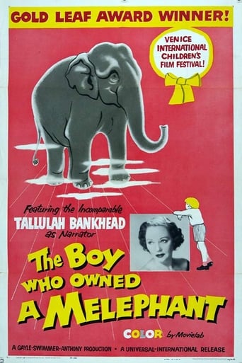 Poster of The Boy Who Owned a Melephant