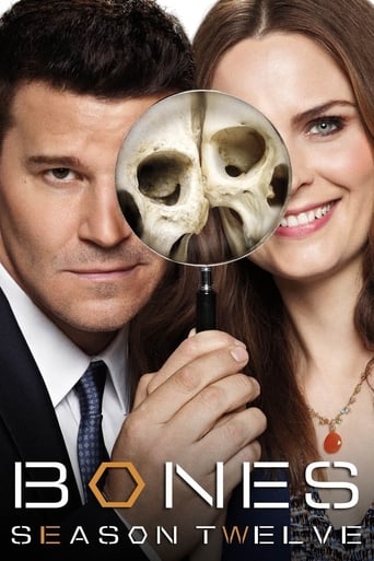 Portrait for Bones - Season 12 - The Final Chapter