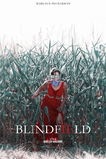 Poster of BLINDFÏELD