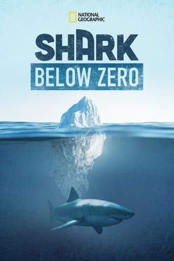 Poster of Shark Below Zero