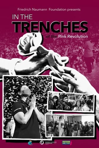 Poster of In The Trenches Of The Pink Revolution