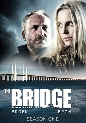 Portrait for The Bridge - Season 1