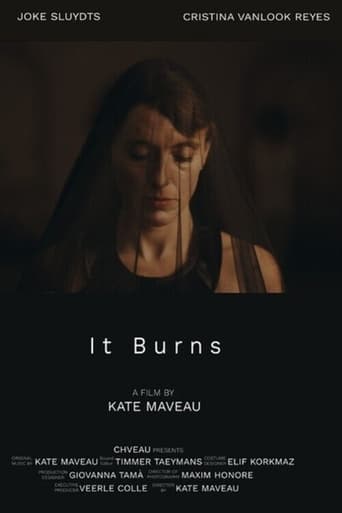 Poster of It Burns