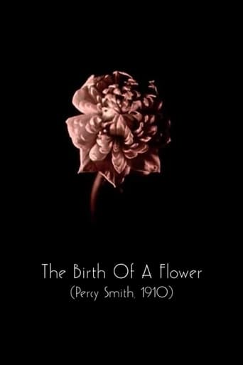 Poster of The Birth of a Flower