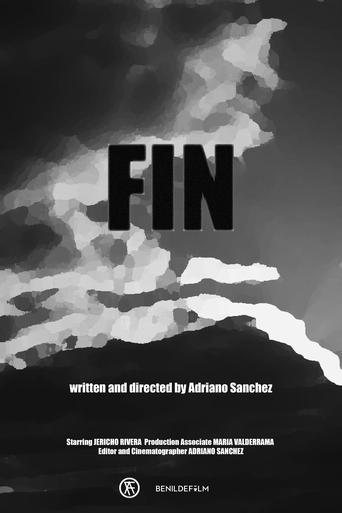 Poster of FIN