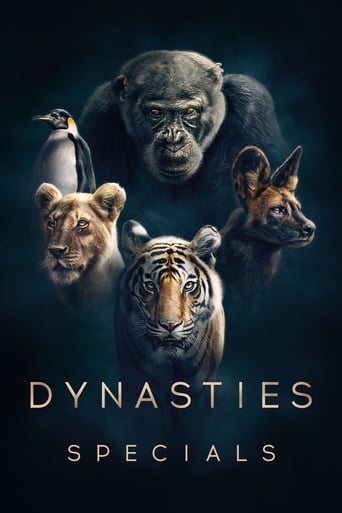 Portrait for Dynasties - Specials