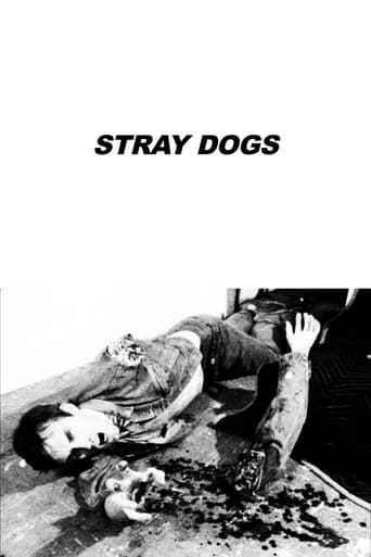 Poster of Stray Dogs