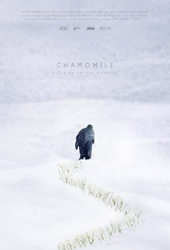 Poster of Chamomile