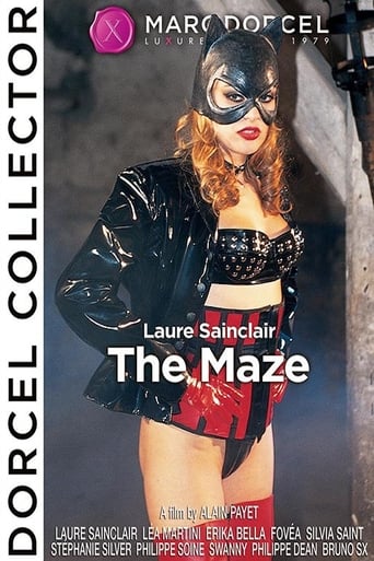 Poster of The Maze