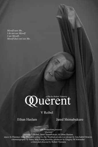 Poster of Querent