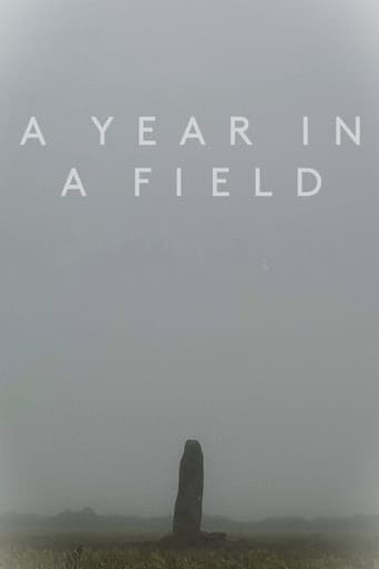 Poster of A Year in a Field