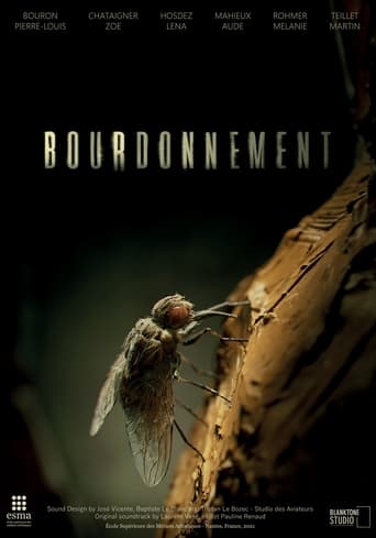 Poster of Bourdonnement