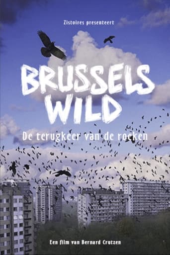 Poster of Bruxelles Sauvage - Le retour des corbeaux