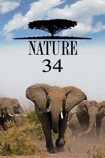 Portrait for Nature - Season 34