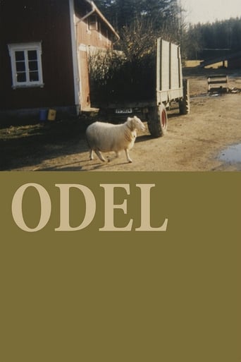 Poster of The Odelsrett