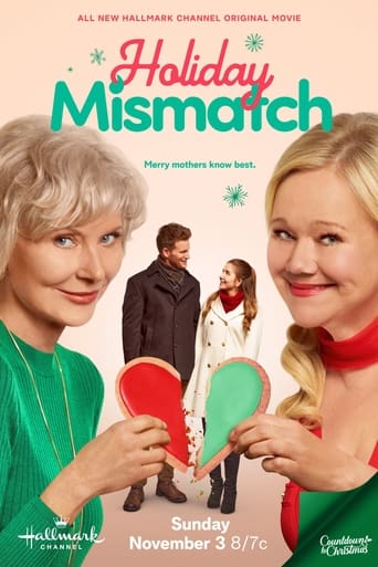 Poster of Holiday Mismatch