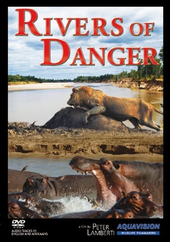 Poster of Rivers of Danger