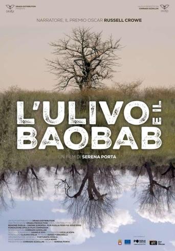 Poster of L'ulivo e il baobab