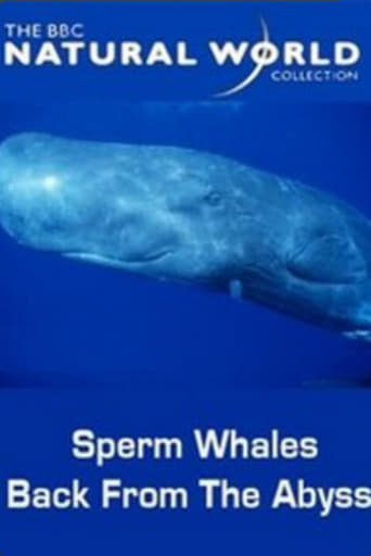 Poster of Sperm Whales: Back from the Abyss