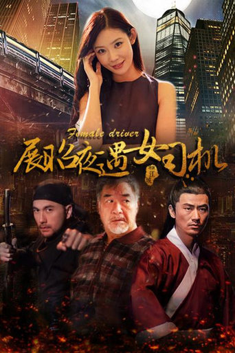 Poster of 展昭夜遇女司机