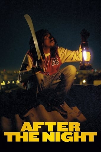 Poster of After the Light