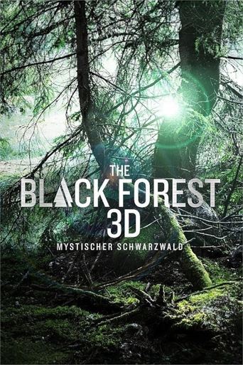 Poster of The Black Forest - Mystischer Schwarzwald