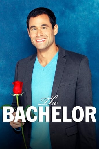 Portrait for The Bachelor - Season 13