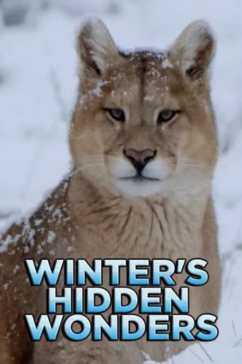 Poster of Winter's Hidden Wonders