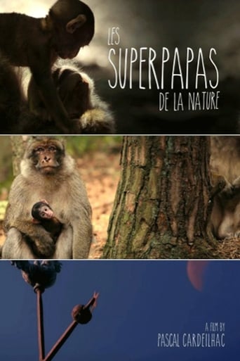 Poster of Nature's Superdads