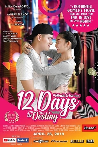 Poster of 12 Days to Destiny