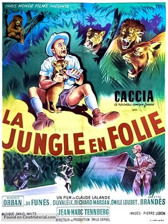 Poster of The Crazy Jungle