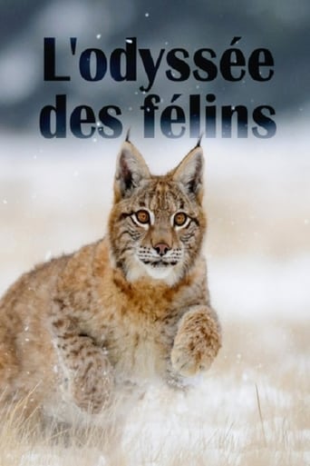 Poster of The Odyssey Of Felines