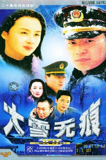 Poster of 大雪无痕